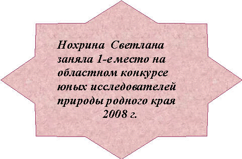 2008 г