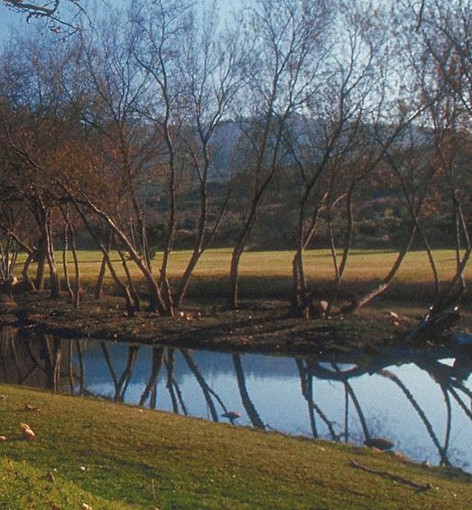 река